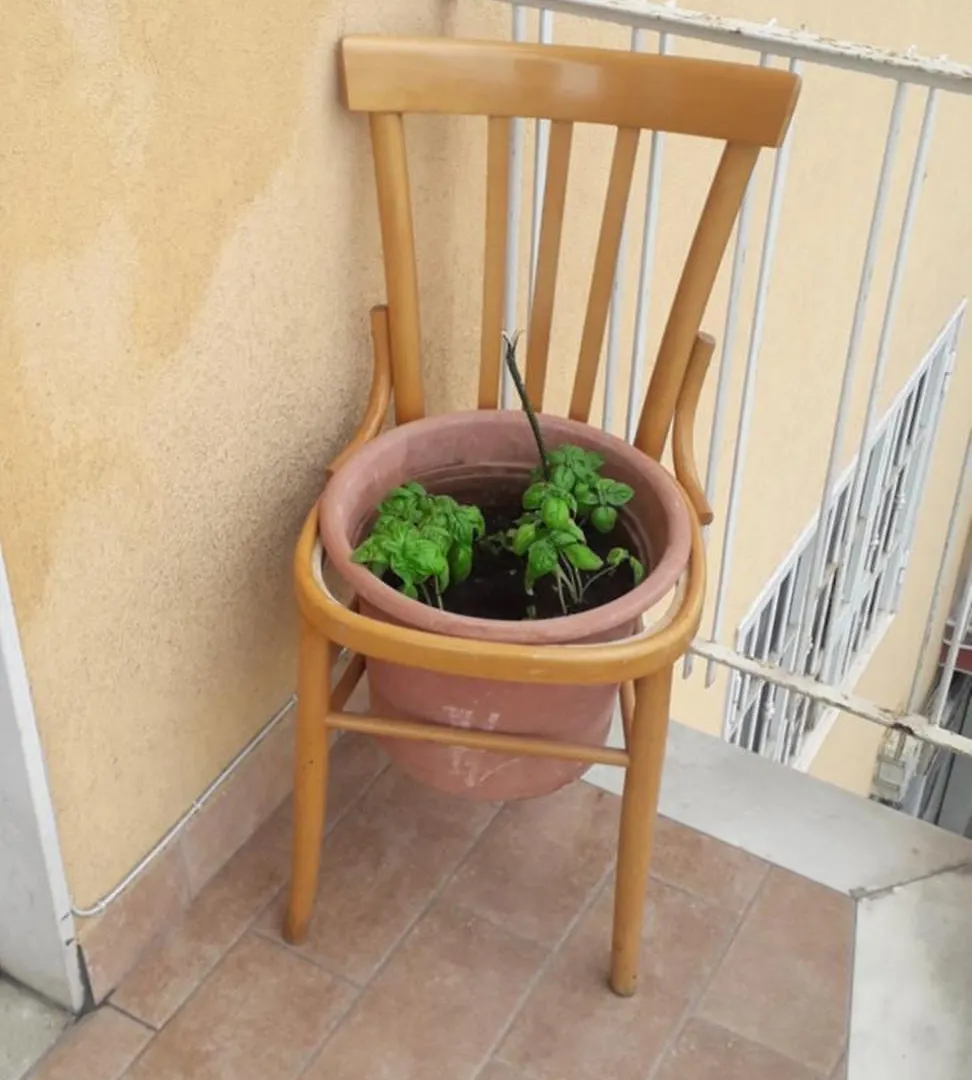 A Casa Di Alex Apartment Catania